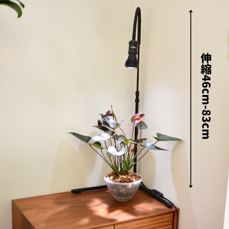 プラエリア スタンドソケット 1台 | 花森家-1号店-