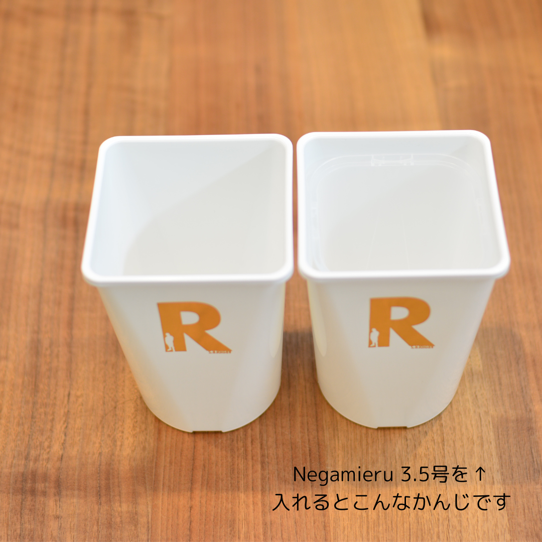 Neo Put White 4号 4鉢セット | 花森家-1号店-