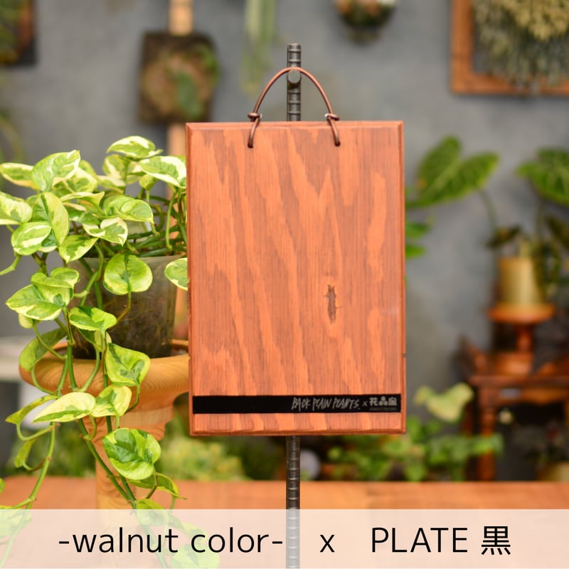 DECOITA｜植物着生専用オリジナル板 | 花森家-1号店-