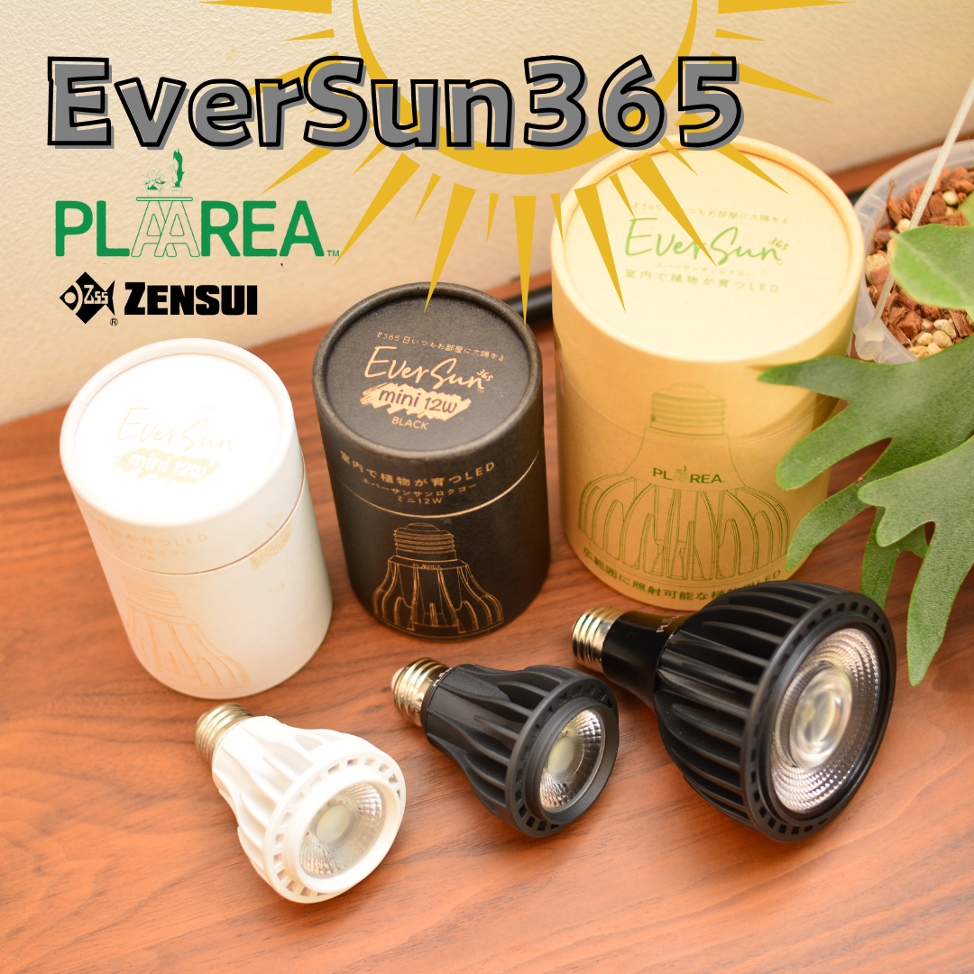 EverSun エバーサン 植物育成LED 12W 24W セット E26 EverSun エバーサン 植物育成LED 12W 24W セット E26 エバーサン365