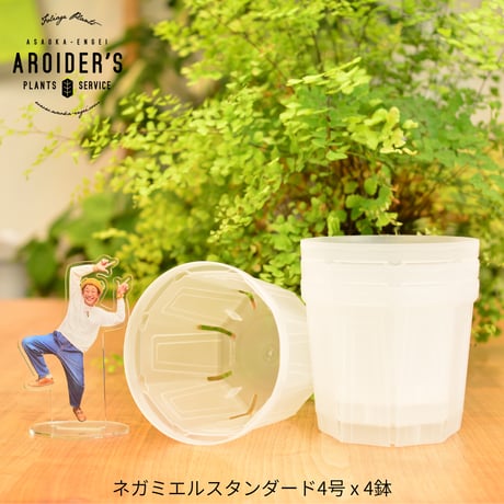 透明鉢《 NEgamieru 》standard 4号 4鉢セット