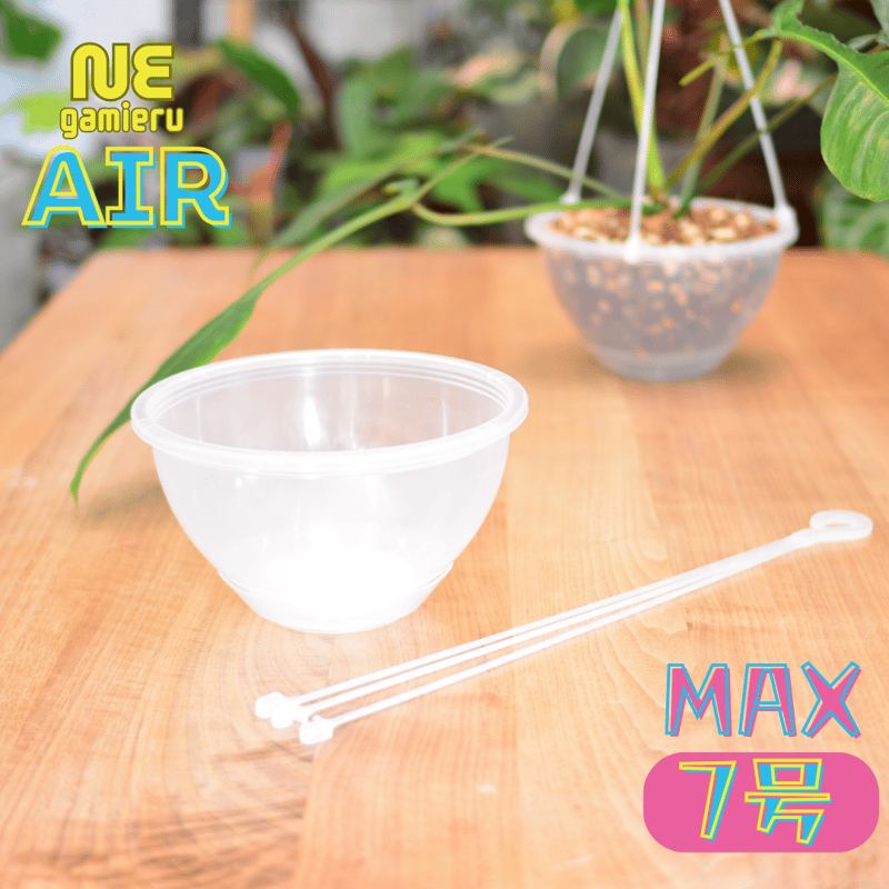 透明鉢《 NEgamieru 》 AIR Max 7号 1鉢 | 花森家-1号店- 透明鉢《 NEgamieru 》 AIR Max 7号 1鉢 | 花森家-1号店-