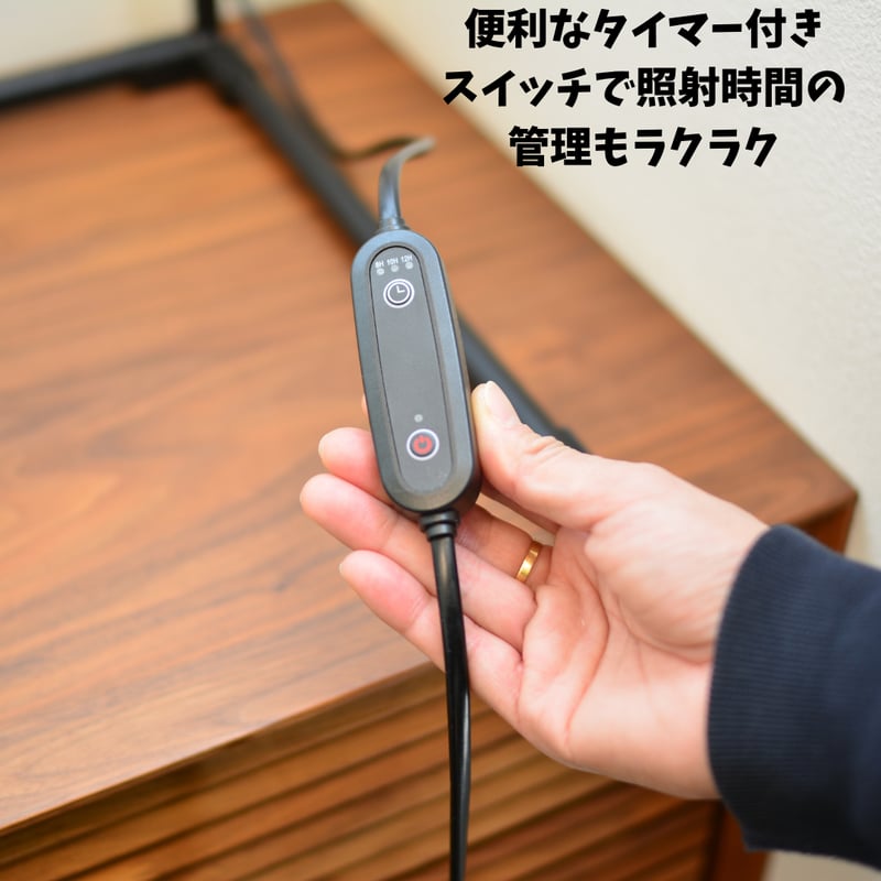 プラエリア　スタンドソケット　ライト プラエリア スタンドソケット 1台 | 花森家-1号店-
