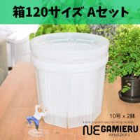 透明鉢《 NEgamieru 》箱120サイズ Aセット