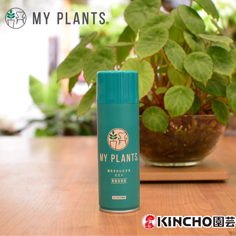 MY PLANTS】葉面洗浄剤 葉をきれいにするﾐｽﾄ 220ml | 花森家-1号店-