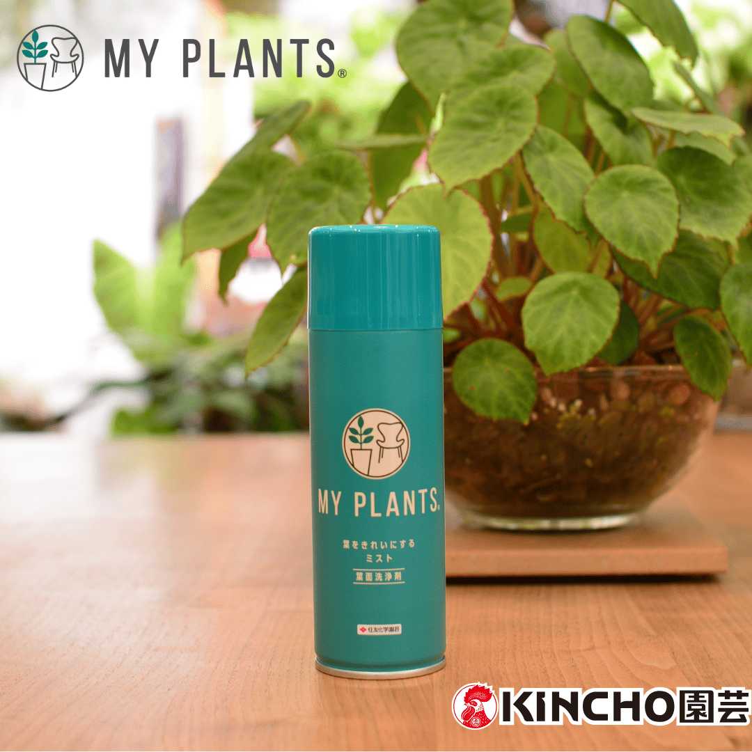 MY PLANTS】葉面洗浄剤 葉をきれいにするﾐｽﾄ 220ml | 花森家-1号店-