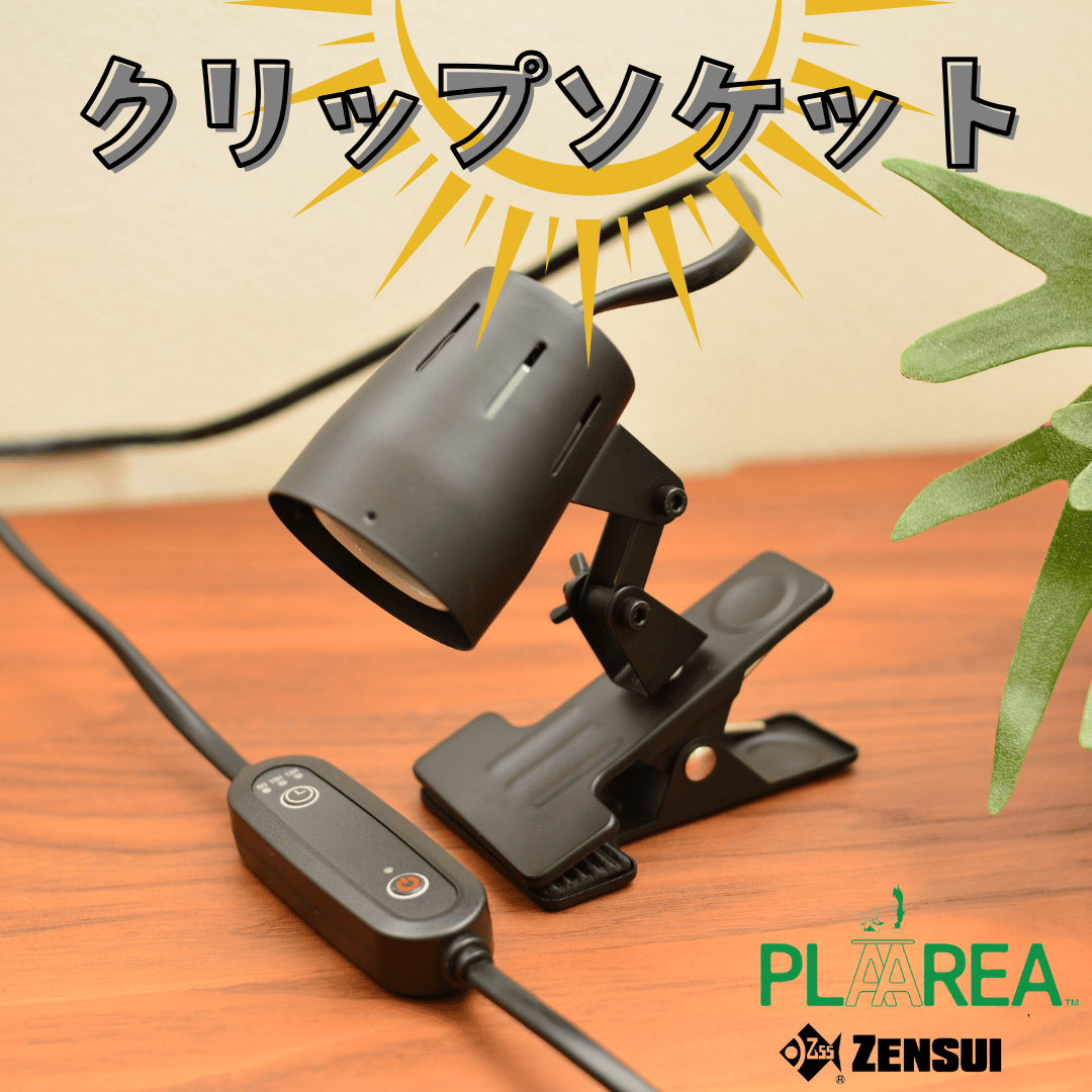 プラエリア クリップソケット 1台 | 花森家-1号店-