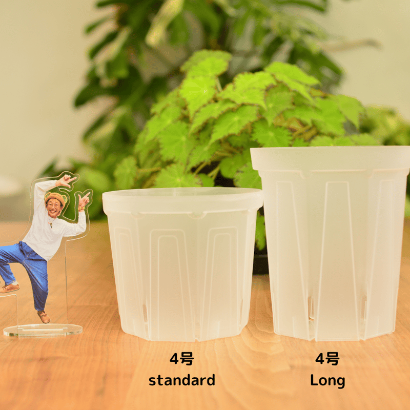 透明鉢《 NEgamieru 》standard 4号 4鉢セット | 花森家-1号店-