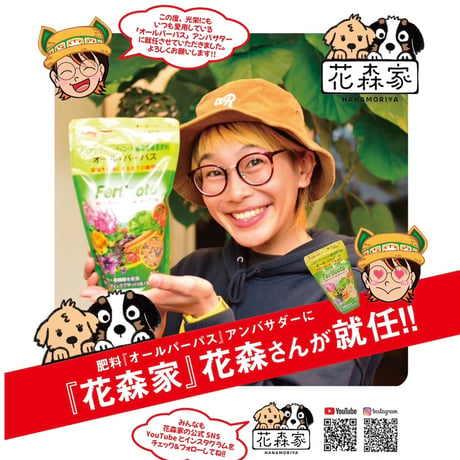 【肥料】オール・パーパス　600ｇ／ALL PURPOSE