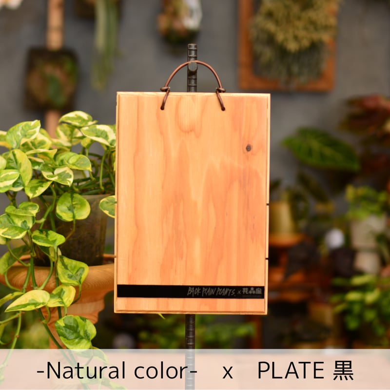 DECOITA｜植物着生専用オリジナル板 | 花森家-1号店-