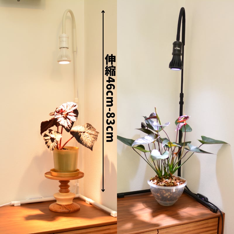 プラエリア スタンドソケット 1台 | 花森家-1号店-
