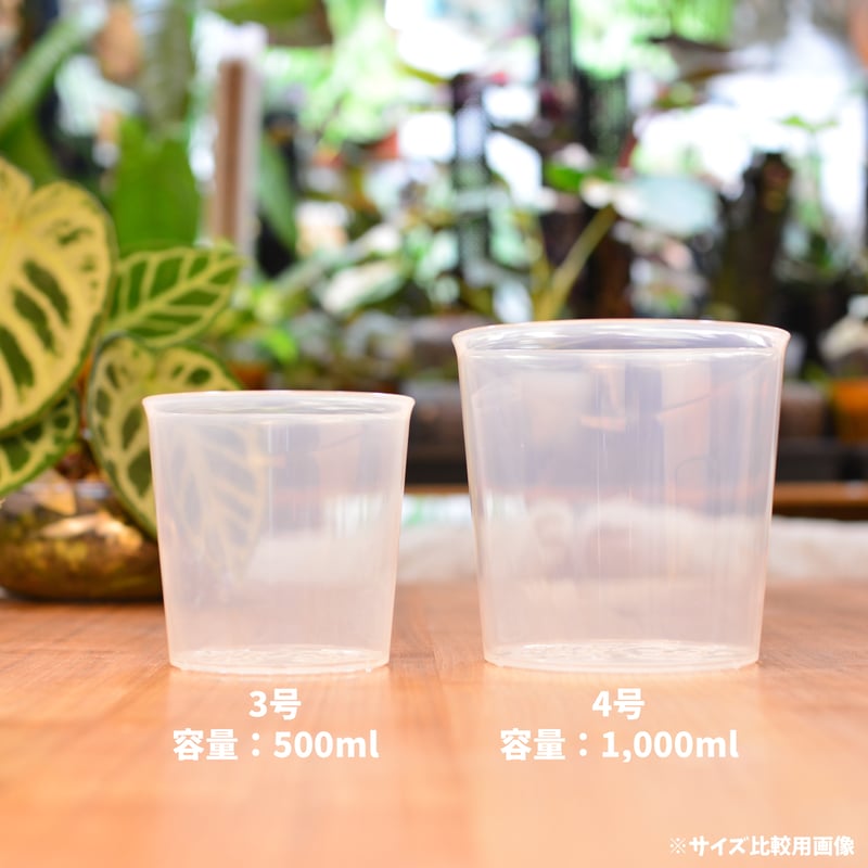 3号]花森家の鉢(クリアブラック)1鉢 | 花森家-1号店-