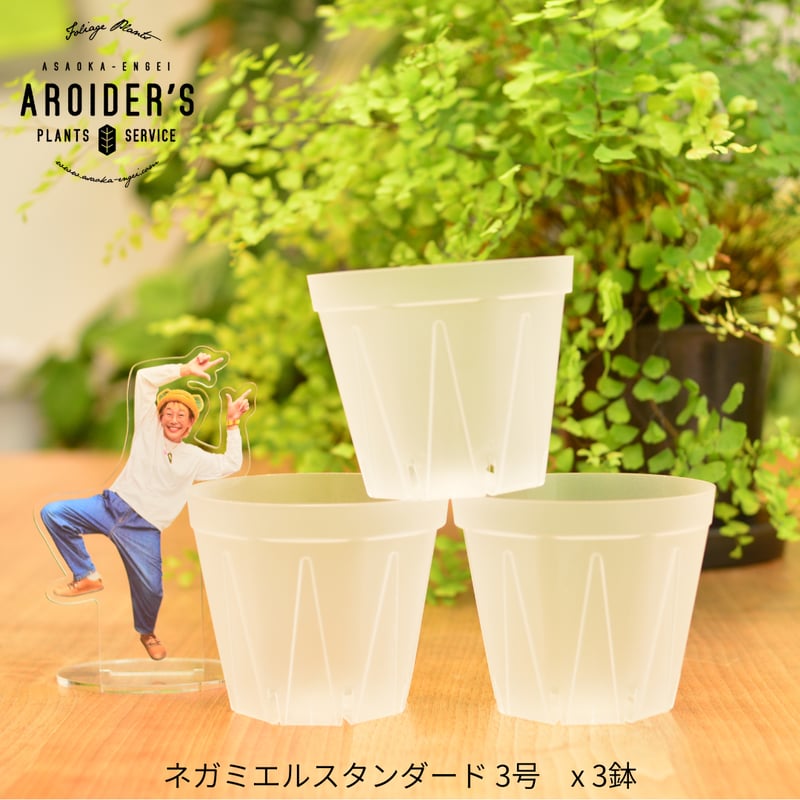 透明鉢《 NEgamieru 》standard 3種7鉢セット | 花森家-1号店-