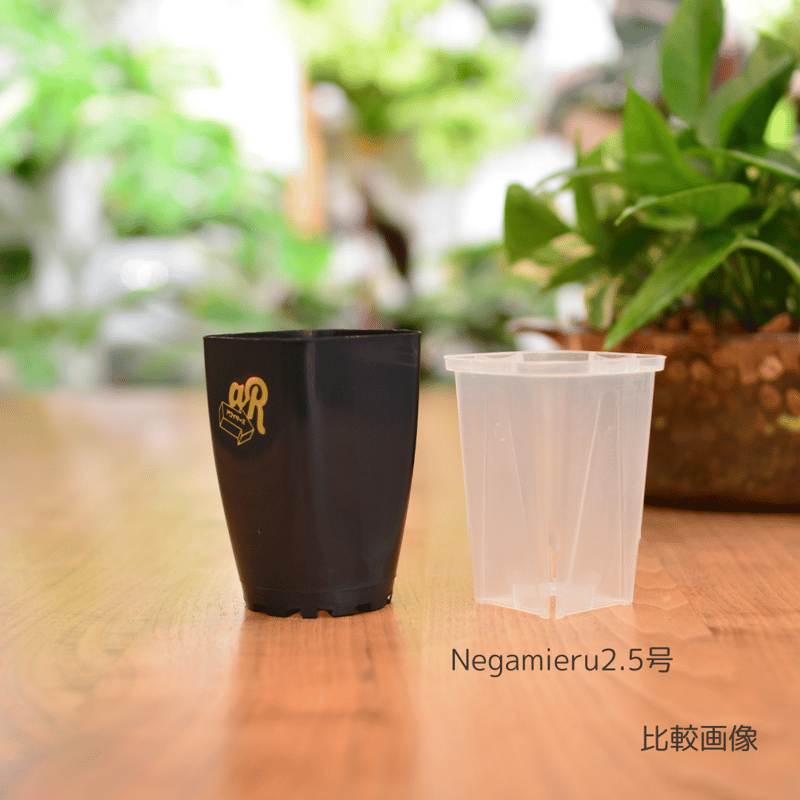 Neo Put 2.5号 10鉢セット | 花森家-1号店- Neo Put 2.5号 10鉢セット | 花森家-1号店-