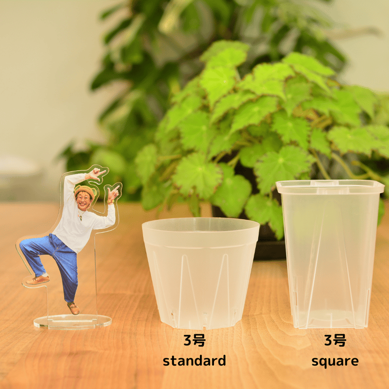 透明鉢《 NEgamieru 》standard 3号 6鉢セット | 花森家-1号店-