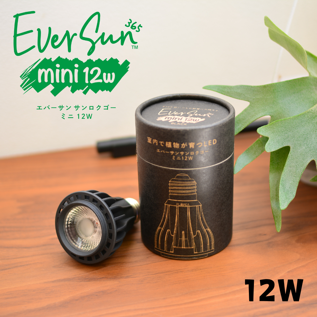 EverSun エバーサン 植物育成LED 12W 24W セット E26 EverSun エバーサン 植物育成LED 12W 24W セット E26 ゼンスイ
