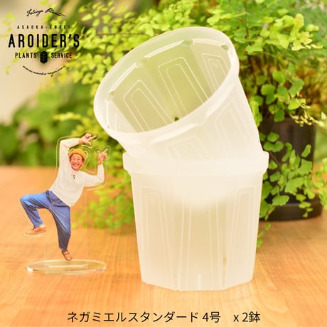 透明鉢《 NEgamieru 》standard 3種7鉢セット