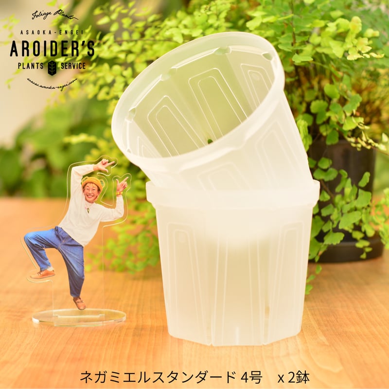 透明鉢《 NEgamieru 》standard 3種7鉢セット | 花森家-1号店-