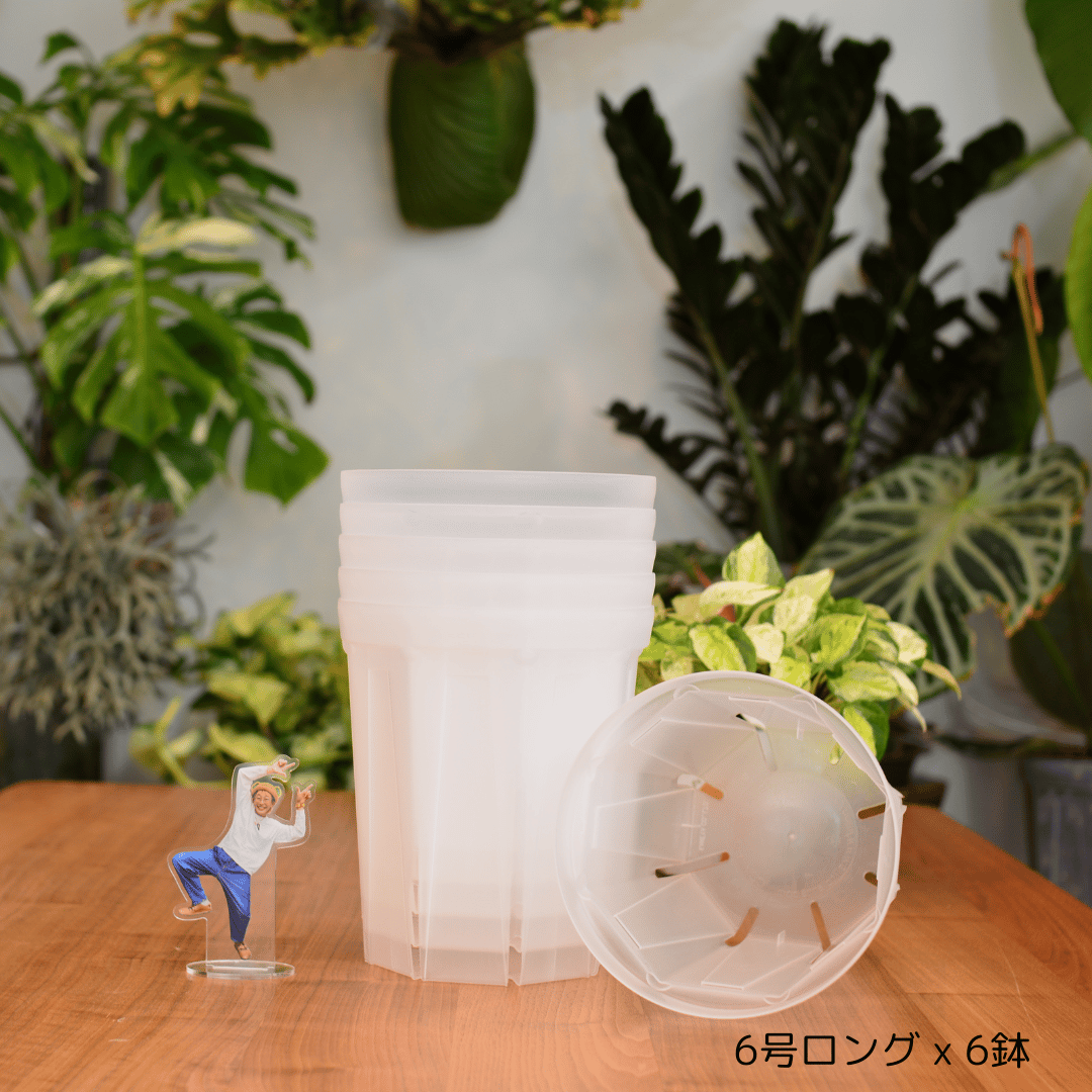 透明鉢《 NEgamieru 》箱80サイズ Jセット | 花森家-1号店-