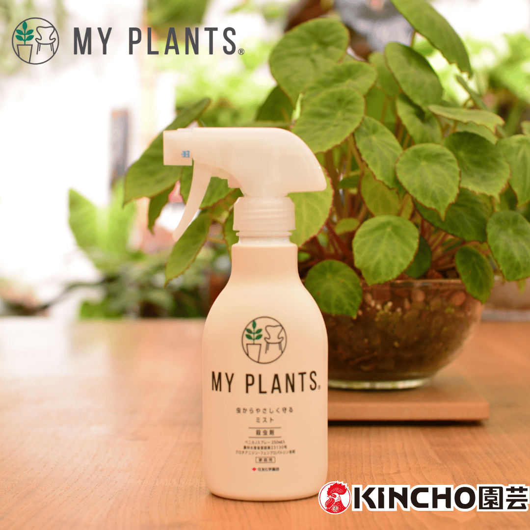 MY PLANTS】殺虫剤 虫からやさしく守るﾐｽﾄ 250ml | 花森家-1号店-