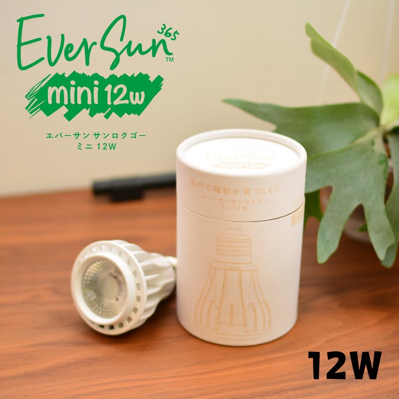 照明】Ever Sun 365 | 花森家-1号店-