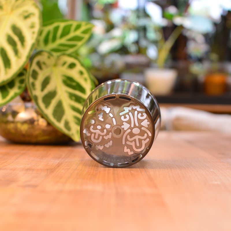 3号]花森家の鉢(クリアブラック)1鉢 | 花森家-1号店-