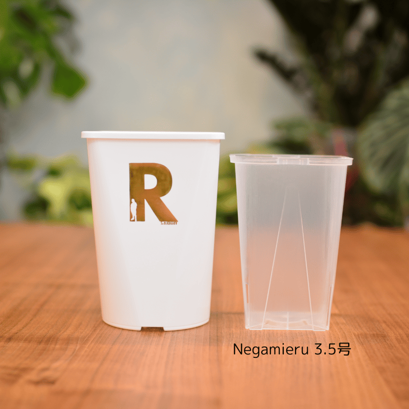 ネオシホ鉢 2個セット Neo Put White 4号 4鉢セット | 花森家-1号店-