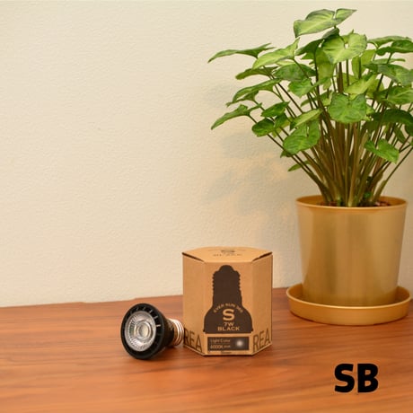 【照明】EVER SUN 365  本体カラー Black Model