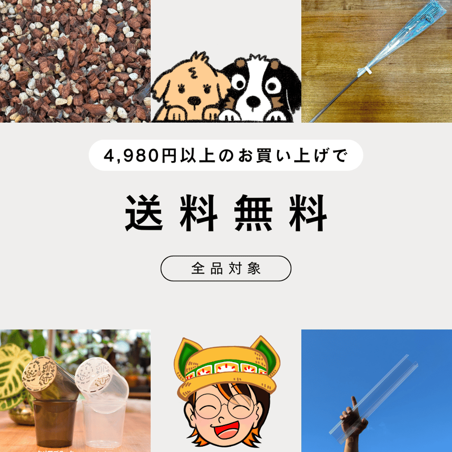 666a95f2e4ecdd028fd7b806