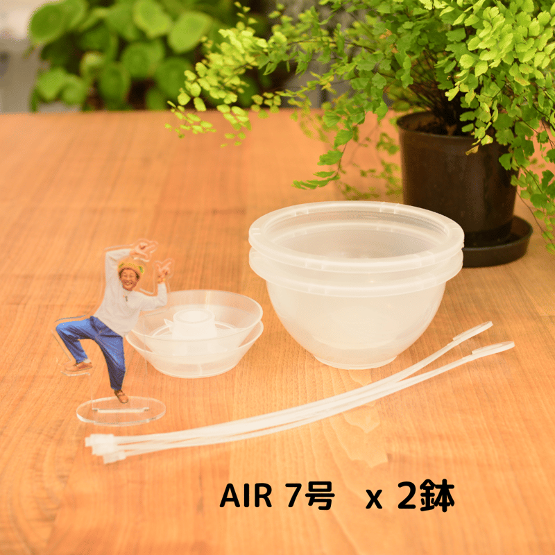 透明鉢《 NEgamieru 》箱80サイズ Nセット | 花森家 オンラインストア