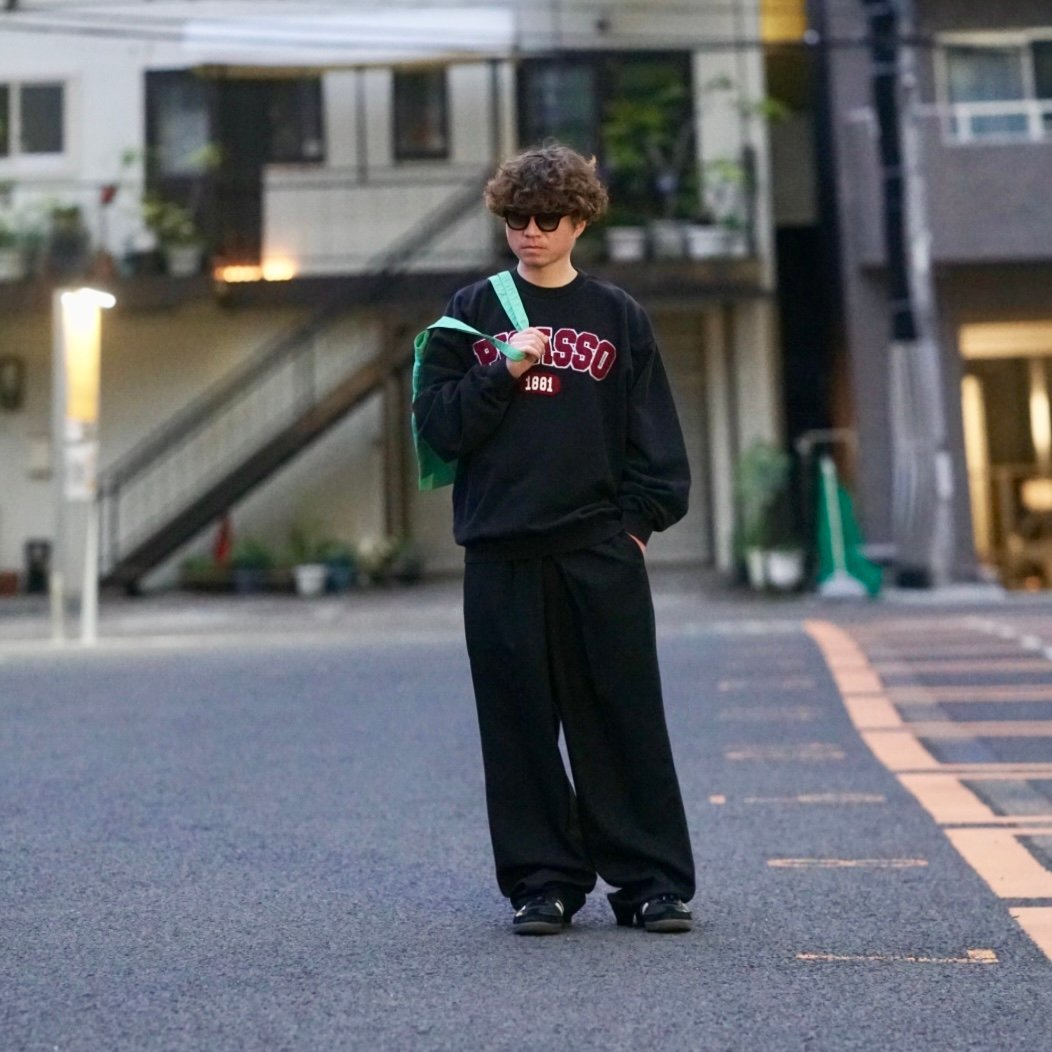 NOT OEM PICASSO Chenill Logo / SW | CAGE RATTLERS