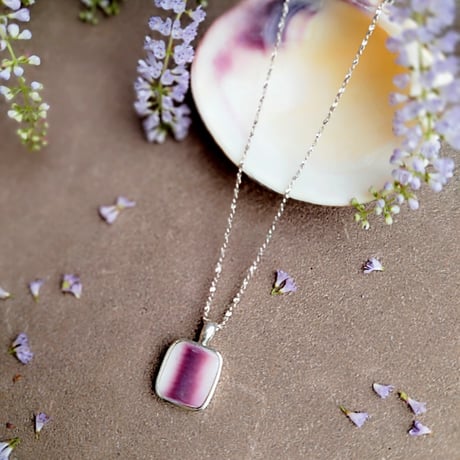 シェルネックレス | STORES