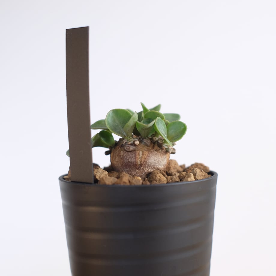 67da44f3444dc8309c0b1c54