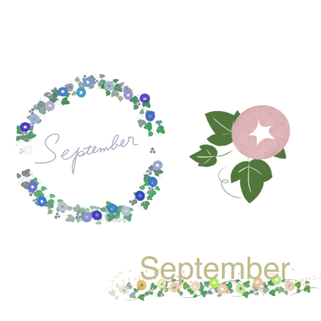【Procreateブラシ】ボタニカルブラシシリーズ　9月のお花（あさがお）　６種のブラシセット