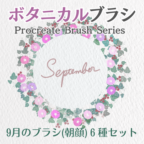 【Procreateブラシ】ボタニカルブラシシリーズ　9月のお花（あさがお）　６種のブラシセット