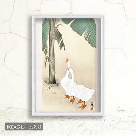 額入り | STORES