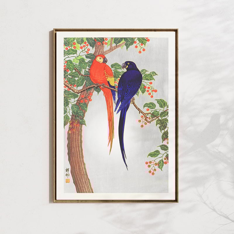 つがいのインコ梅に鶯/小原古邨 木版画複製A4 土佐純楮和紙 日本 つがいのインコ梅に鶯/小原古邨 木版画複製A4 土佐純楮和紙 日本