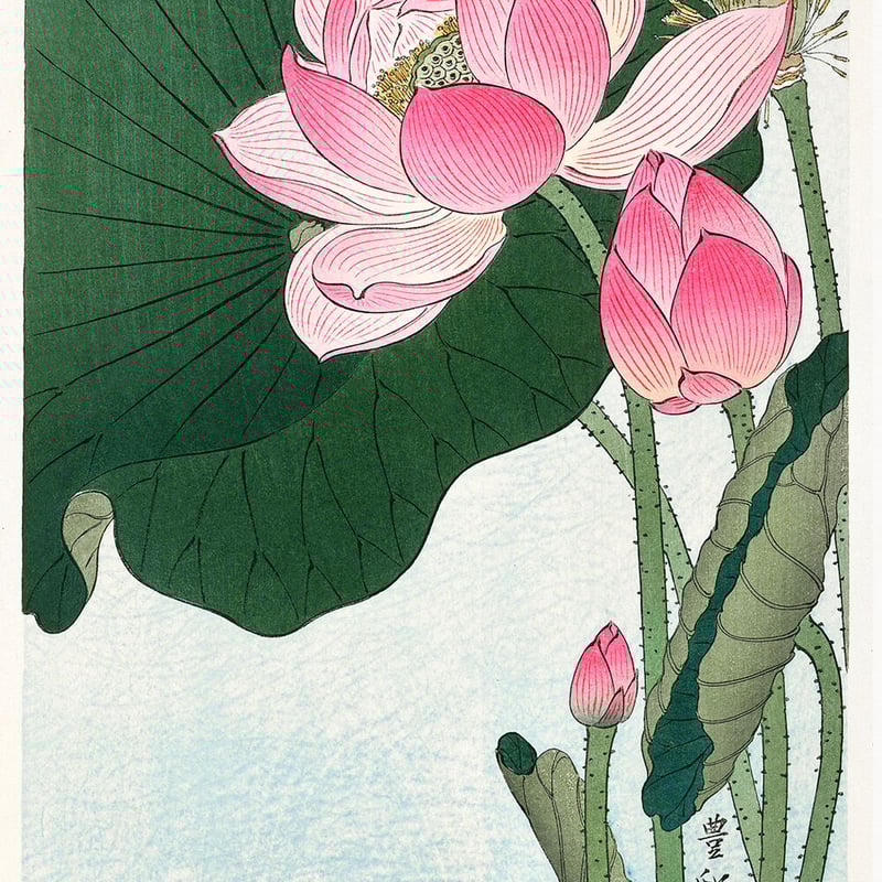 蓮の花 /小原古邨 木版画複製A4 土佐純楮和紙 日本製 IKEA 蓮の花 /小原古邨 木版画複製A4 土佐純楮和紙 日本製 IKEA
