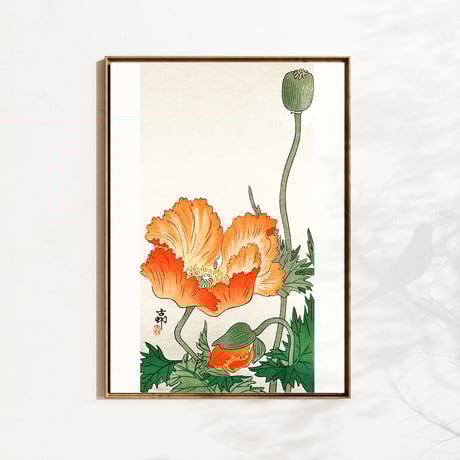 額入り | STORES
