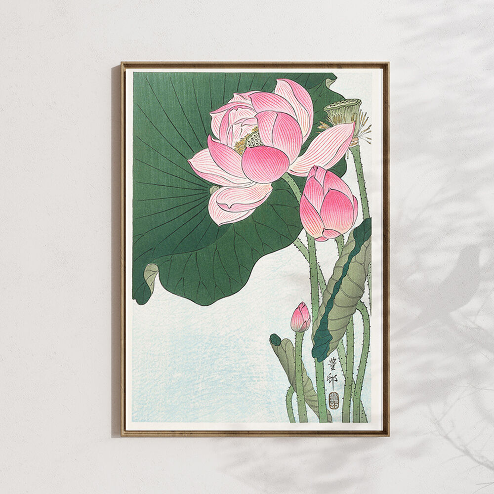 蓮の花 /小原古邨 木版画複製A4 土佐純楮和紙 日本製 IKEA 蓮の花 /小原古邨 木版画複製A4 土佐純楮和紙 日本製 IKEA