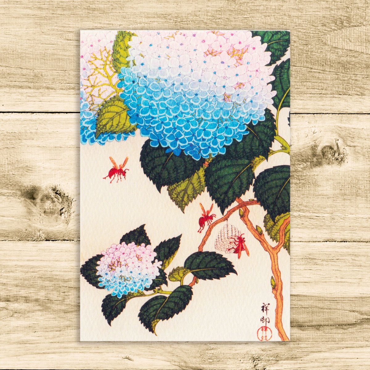 紙箱入り茶碗、色絵青楓、木村利斎作、55ハ 栗山園オンライン通販部 / 【