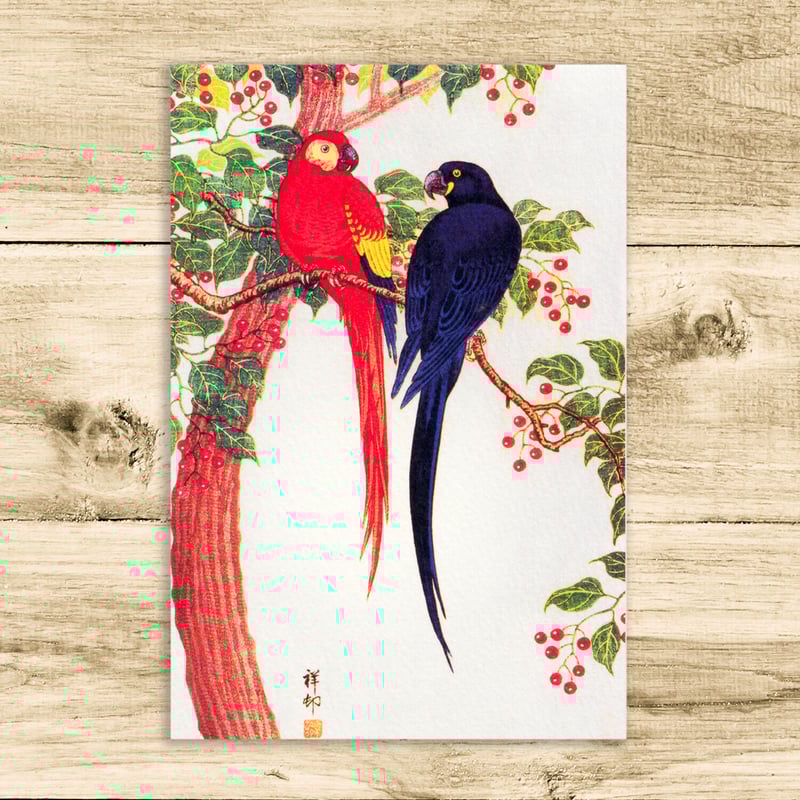 つがいのインコ梅に鶯/小原古邨 木版画複製A4 土佐純楮和紙 日本 つがいのインコ梅に鶯/小原古邨 木版画複製A4 土佐純楮和紙 日本