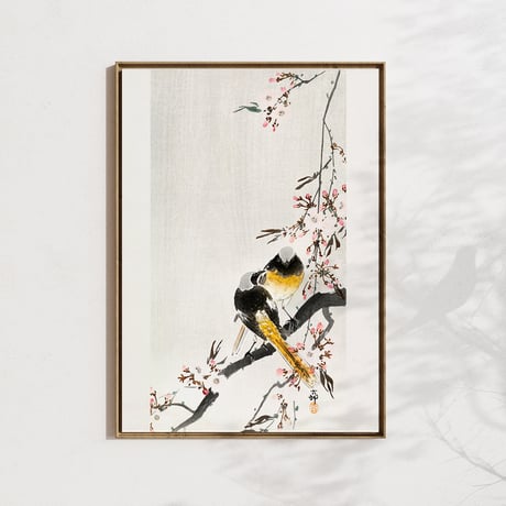 額入り | STORES