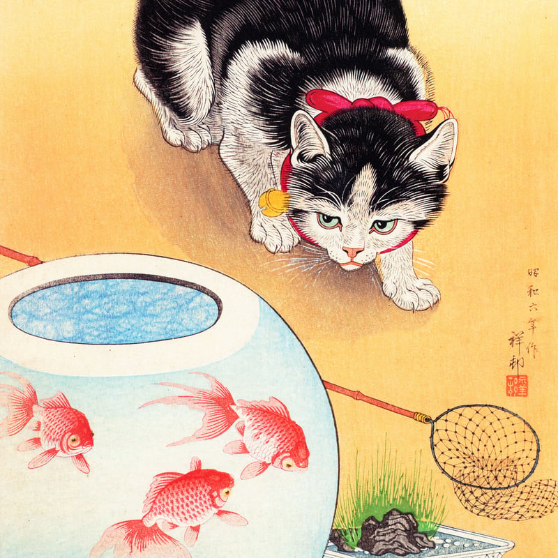 猫に金魚鉢 /小原古邨 木版画複製 絵画ポスターA4 土佐純楮和紙 ポスト