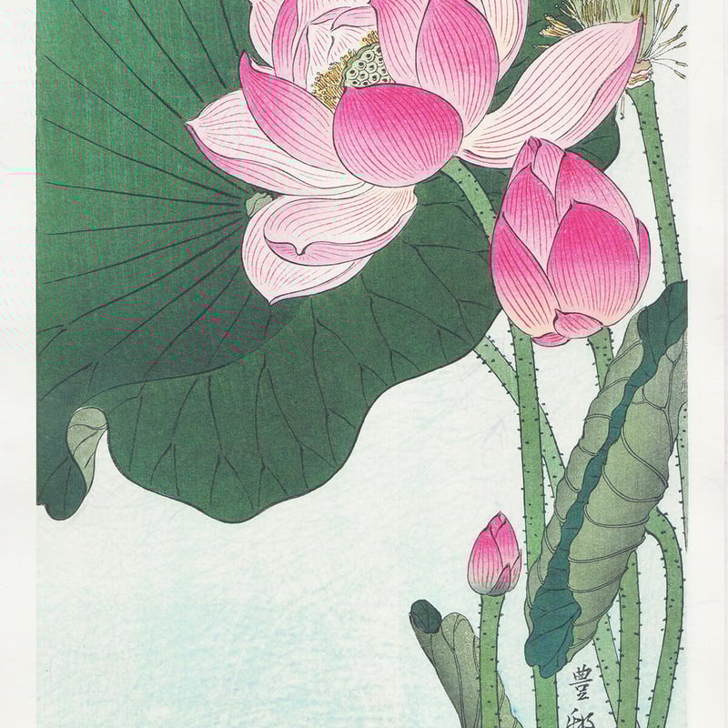 蓮の花「絵画」2L判サイズ原画LOUIS GARNEAU ルイガノ LGS-RSR 3