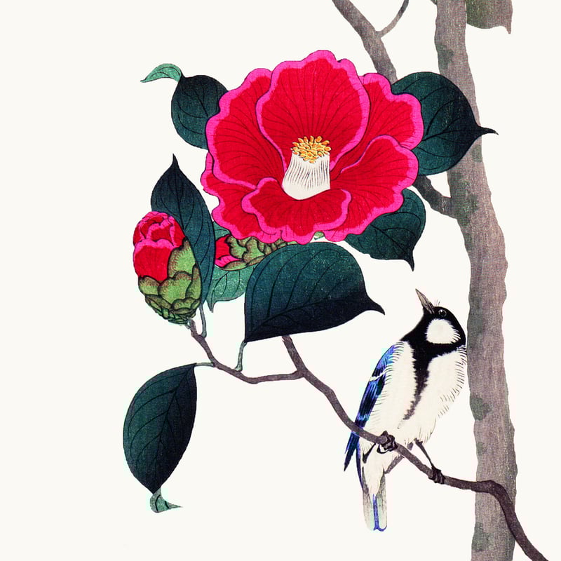 希少品☆】小原古邨 木菟と雀 アクリル板 金沢箔（真鍮箔）箔