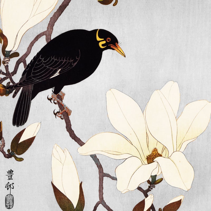 木蓮に九官鳥/小原古邨 木版画複製A4 土佐純楮和紙 日本製 IKEA 木蓮に九官鳥/小原古邨 木版画複製A4 土佐純楮和紙 日本製 IKEA
