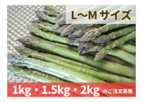 露地物　  L〜M　５月中旬から発送