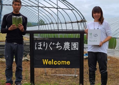 M　サイズ 　本数たっぷり