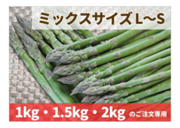露地物　L～Sミックス　５月中旬発送